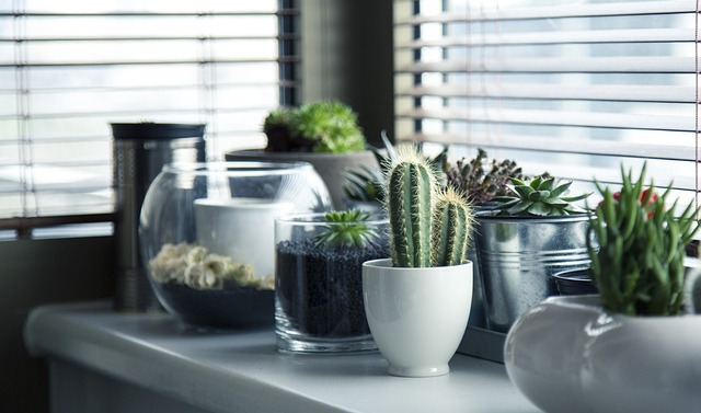 Cómo decorar tu baño sin ventana con plantas
