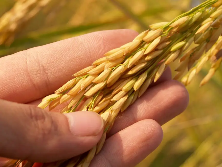 Los 10 componentes esenciales de la agroecología