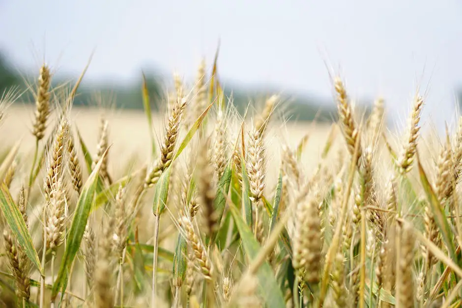 La importancia de la FAO en el sector agrícola